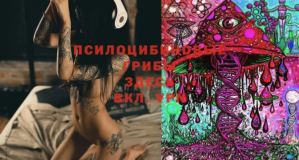 гидропоника Балабаново