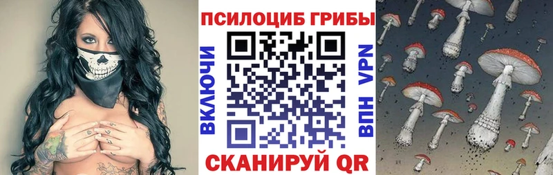 Псилоцибиновые грибы прущие грибы  закладка  Кстово 